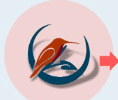 Client Oiseau